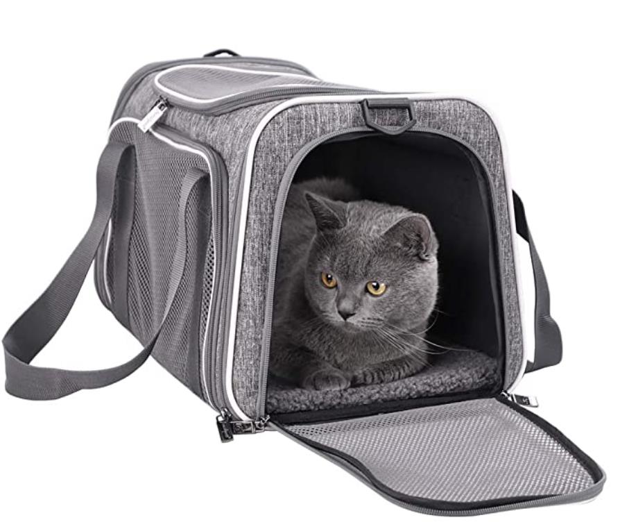 pet luggage bag