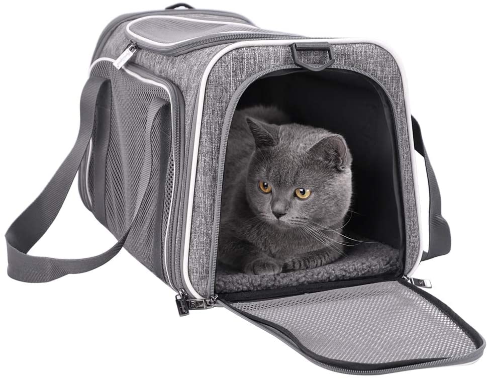 Pet Carrier