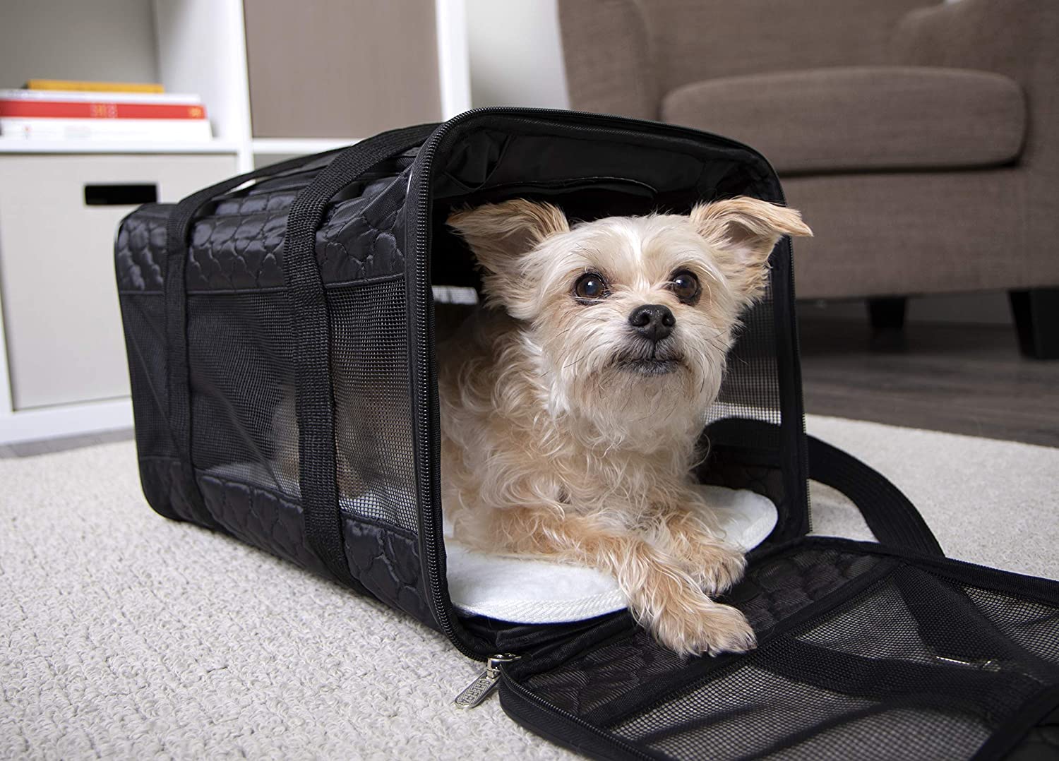 Deluxe Pet Carrier