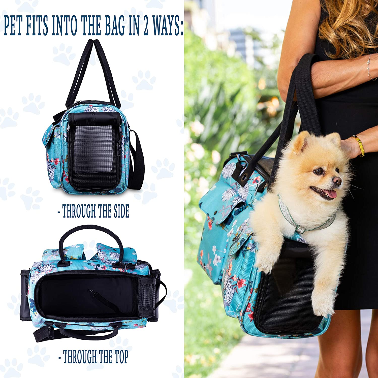 Fashion Dog Carrier