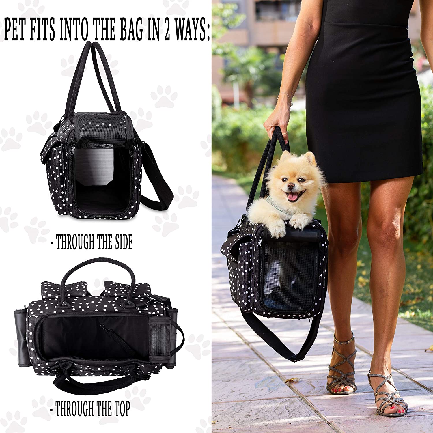 Fashion Dog Carrier Cat Carrier