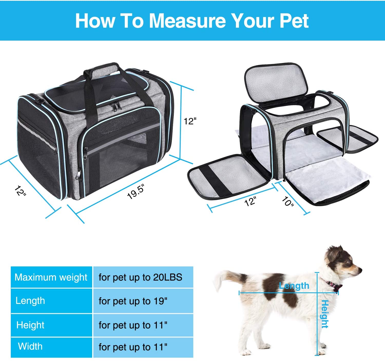 Pet Travel Carrier