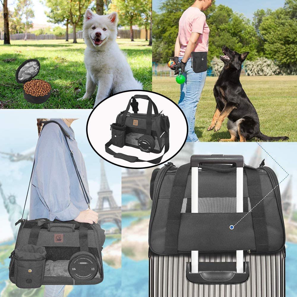 Pet Carrier 