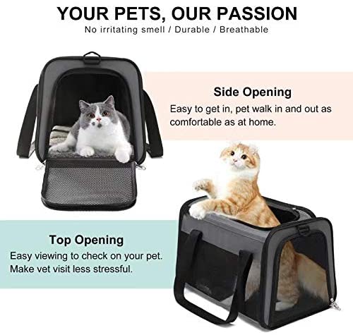 Airline Approved Cat Carrier