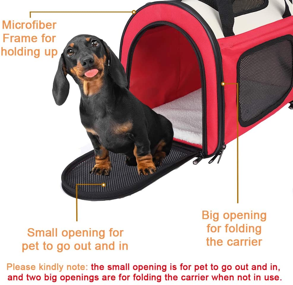 Pet Travel Carrier