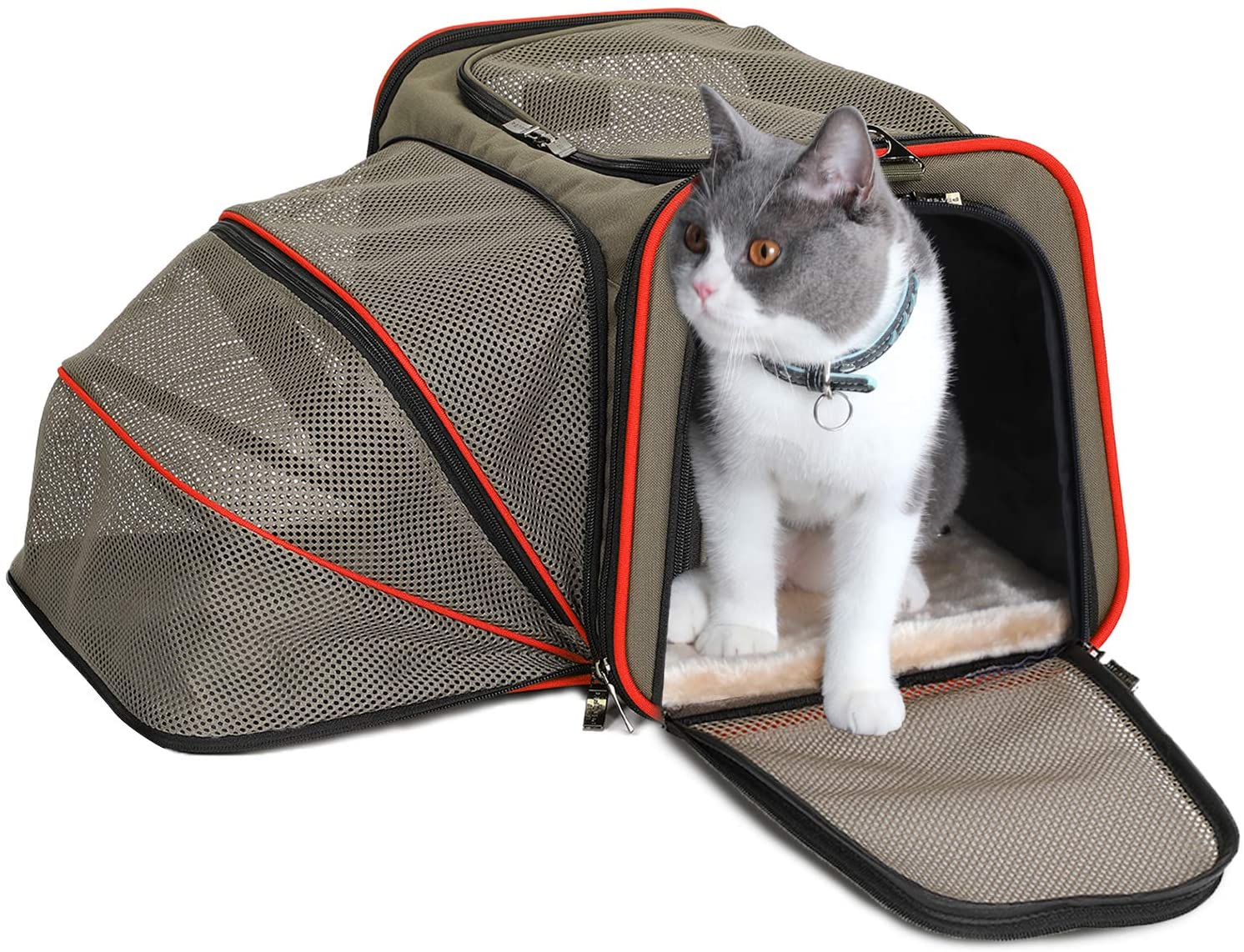 Expandable Cat Carrier