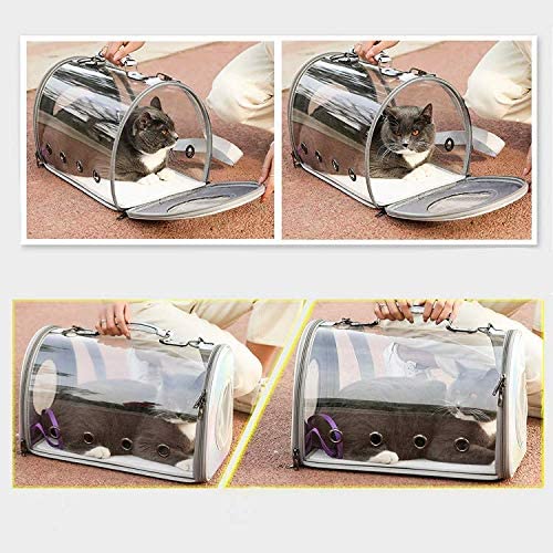 Cat Dog Bubble Backpack