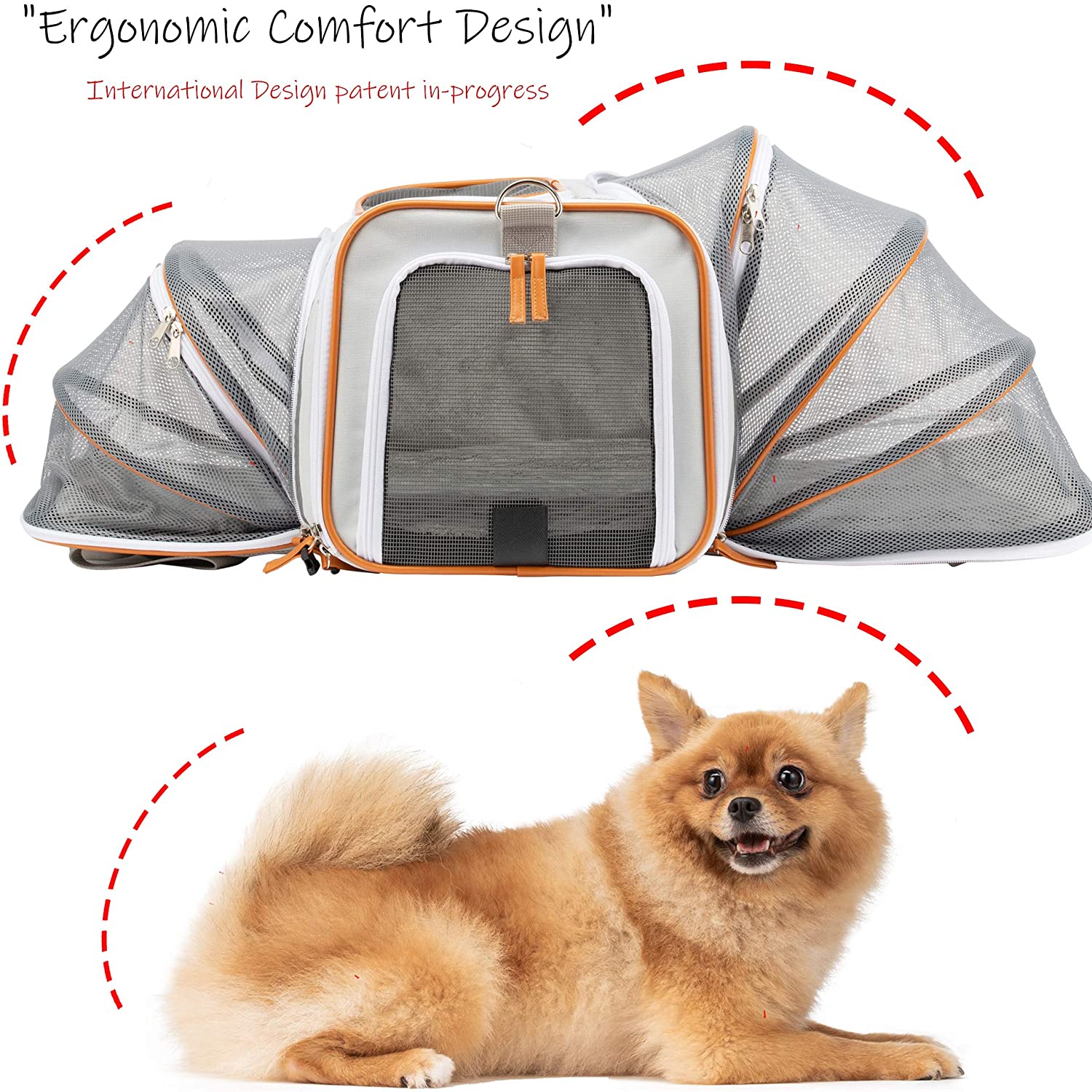 Airline Approved Pet Carrier