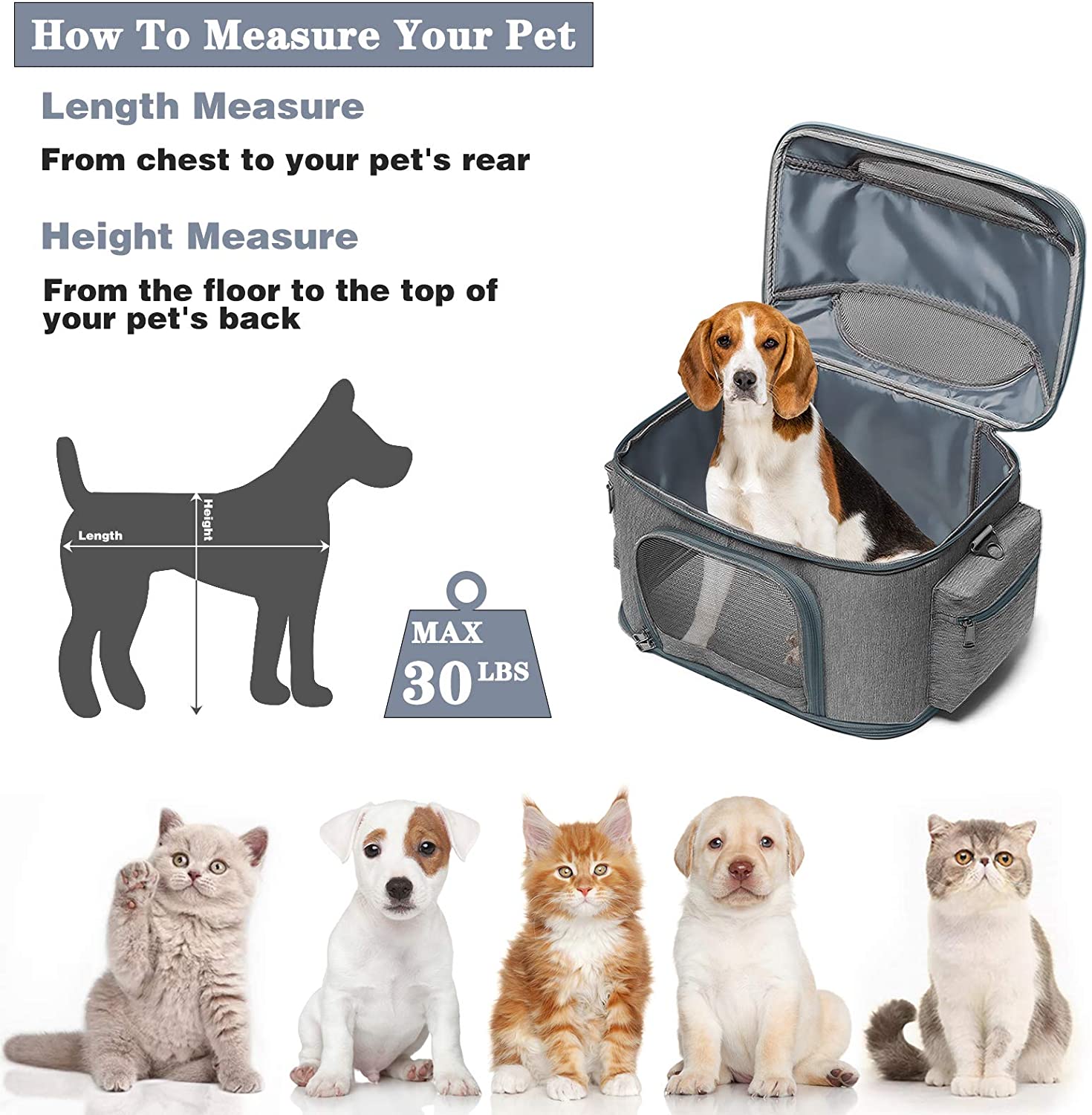 Expandable Pet Travel