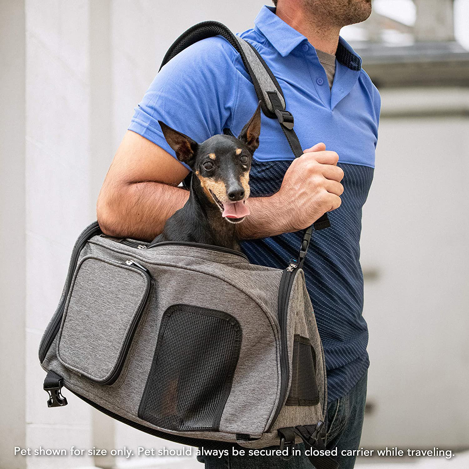 Pet Carrier