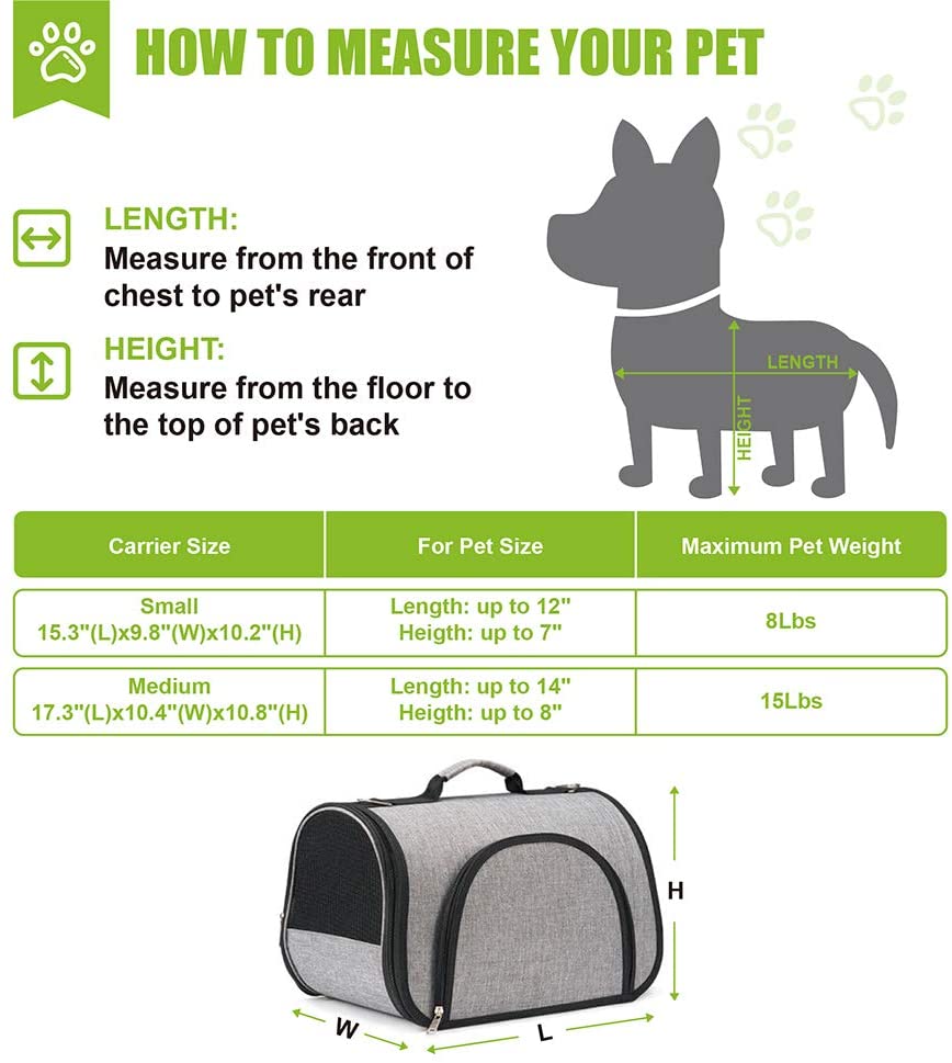 Pet Travel Carrier