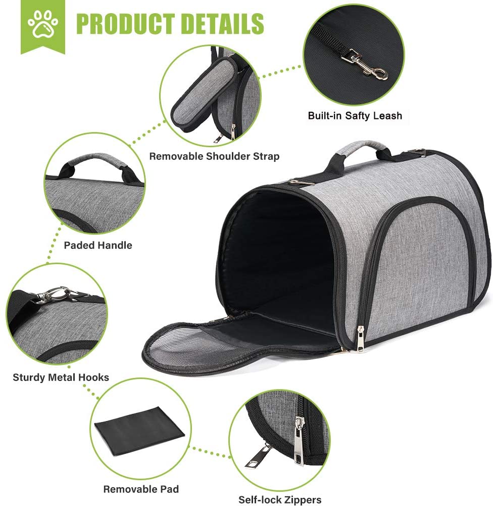 Pet Travel Carrier