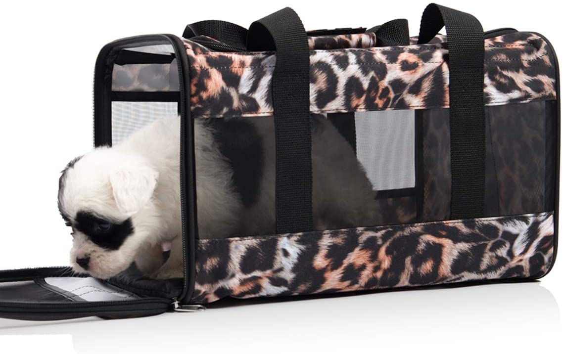 Cats Dogs carrier