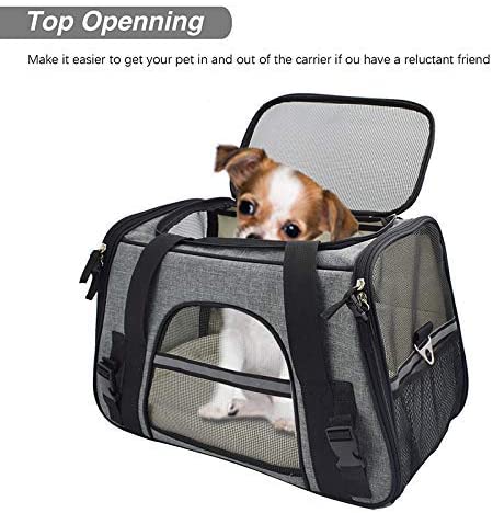 Pet Carrier Bag