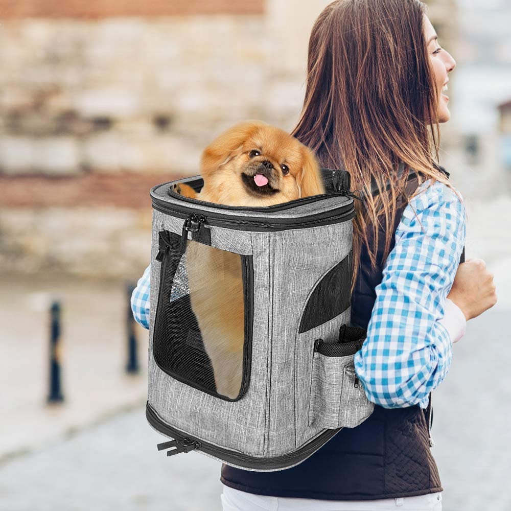 Pet Carrier Backpack