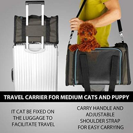 Soft Sided Collapsible Pet Travel Carrier