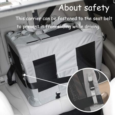 Pet Carrier Travel