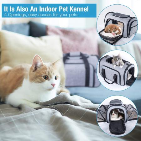 Expandable Pet Carrier