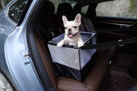 Portable Small Pet Carrier