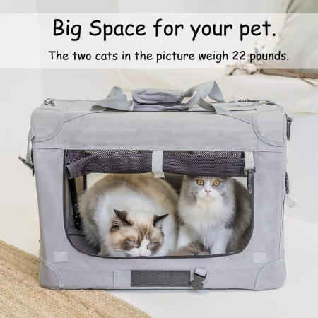 Pet Carrier Travel