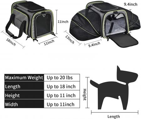 Large Pet Carrier