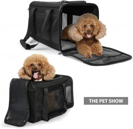 Pet Travel Carrier