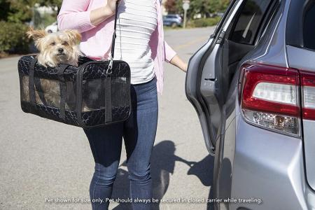 Deluxe Pet Carrier