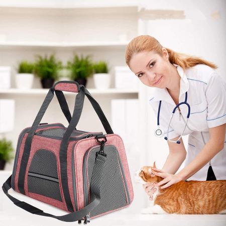 Cats and Small Dogs carrier