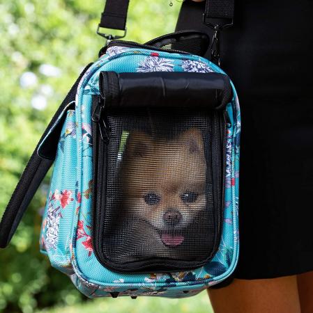 Fashion Dog Carrier