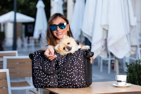 Fashion Dog Carrier Cat Carrier