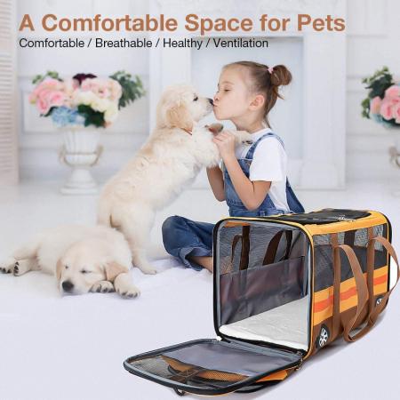 Pet Carrier with Ventilation