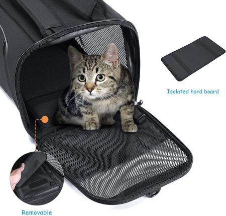 Carry Bag for Small Medium Cats