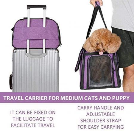 Pet Carrier