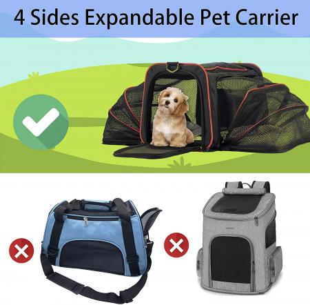 Pet Travel Carrier