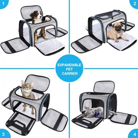 Pet Travel Carrier