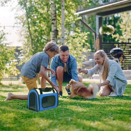 Pet Travel Carrier