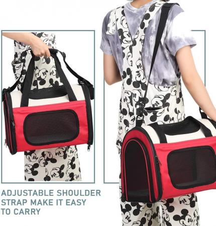 Pet Travel Carrier