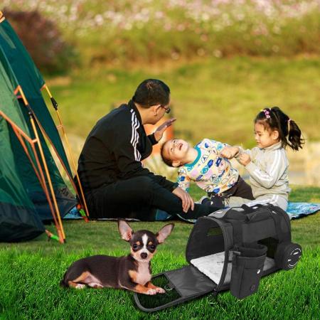 Pet Carrier