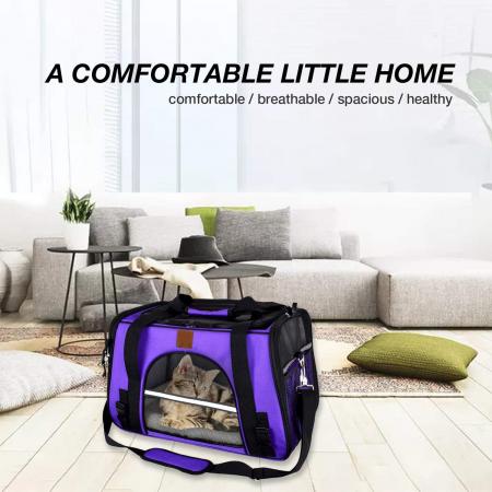 Pet Travel Carrier