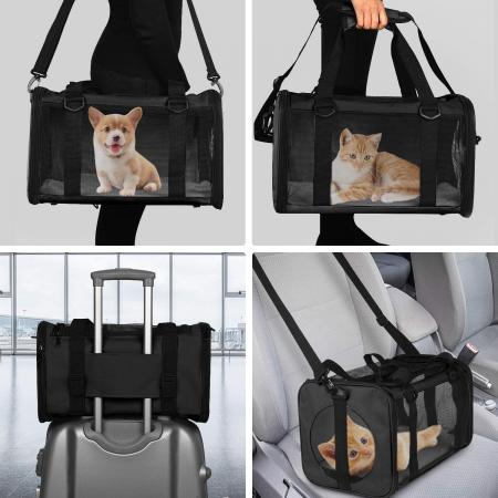 Pet Carrier