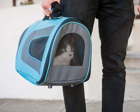 Airline Approved Cat Carrier