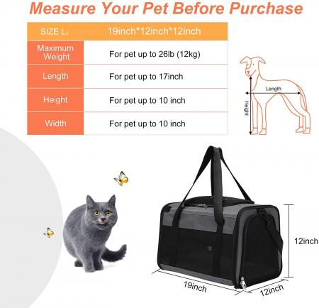 Airline Approved Cat Carrier