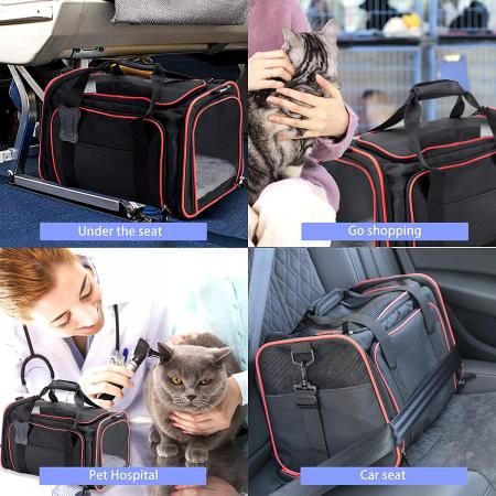 Pet Travel Carrier