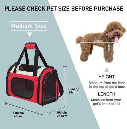 Pet Travel Carrier