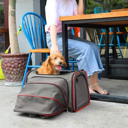 Expandable Cat Carrier