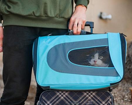 Airline Approved Cat Carrier