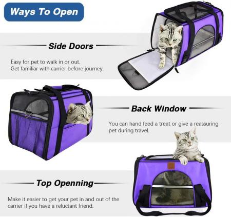 Pet Travel Carrier