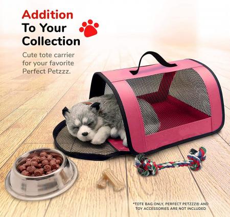 Carrier for Pet Animals