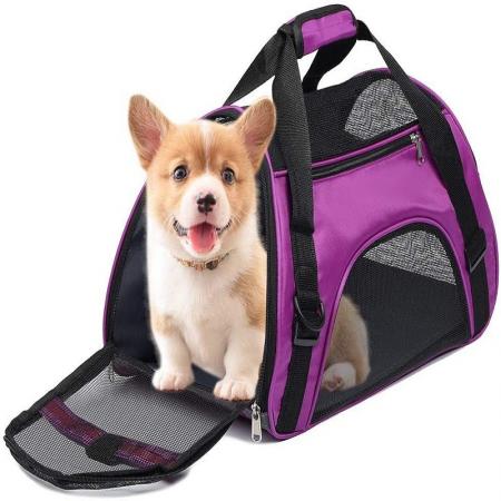 Pet Travel Carrier