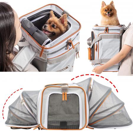 Airline Approved Pet Carrier